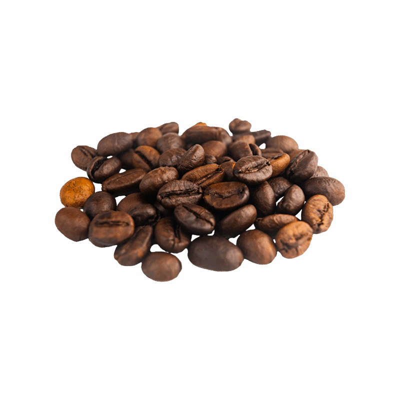 Lugano Caffè Elite Dark Espresso Coffee Roasted Beans